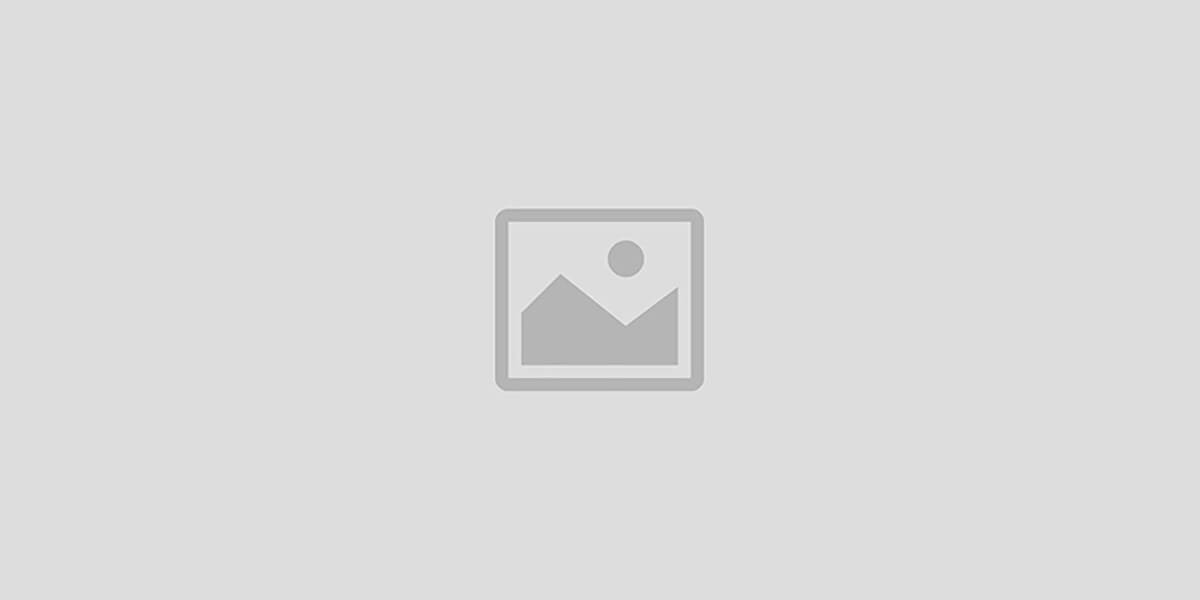 AIRSOFT AUCTIONS